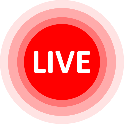 Webcam Lovense